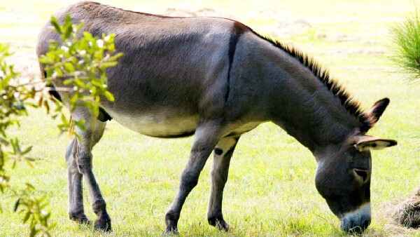 हो रहा गलत इस्तेमाल