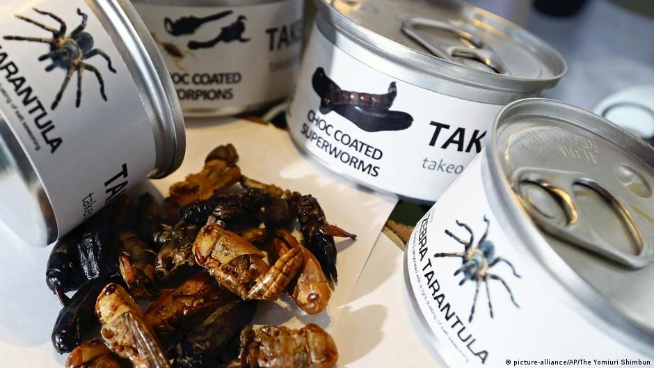 Provided by Deutsche Welle