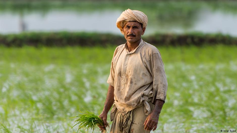 Provided by Deutsche Welle Provided by Deutsche Welle