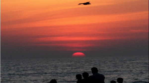  इस तबाही से पहले करना होगा ये काम 