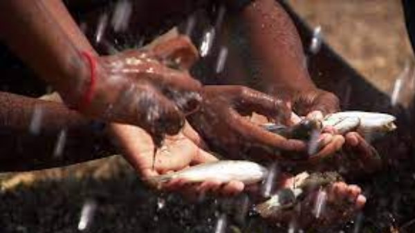 मछलियों को देखकर हैरान रह गए लोग मछलियों को देखकर हैरान रह गए लोग