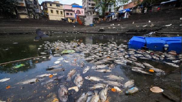 भारत में भी हो चुकी है ऐसी घटना भारत में भी हो चुकी है ऐसी घटना