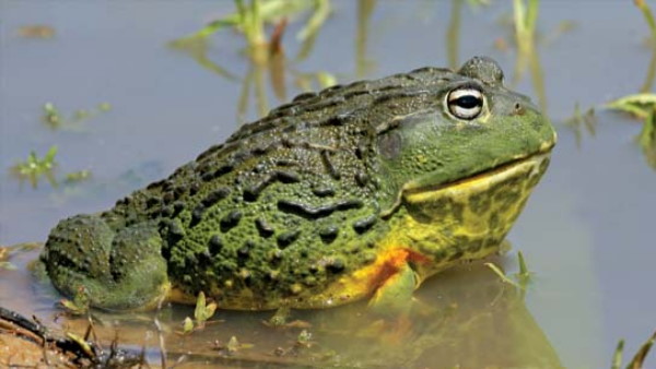 दुर्लभ है ये फोटो दुर्लभ है ये फोटो