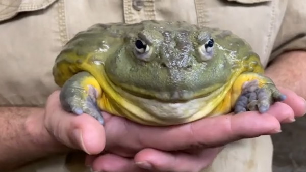 विनाश की ओर बढ़ रही है दुनिया विनाश की ओर बढ़ रही है दुनिया