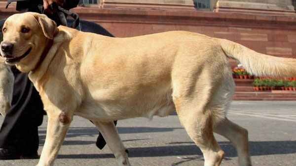 महिला की स्टोरी आई सामने