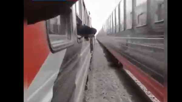 लगातार एक दिशा में भागता रहा घोड़ा