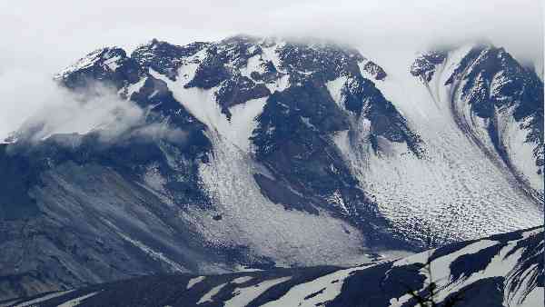 वैज्ञानिकों ने अपनाया ये तरीका