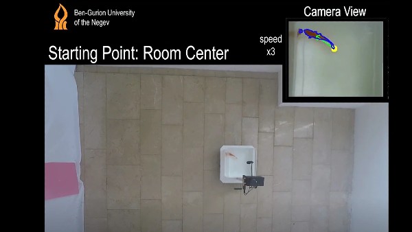 क्या था मकसद?