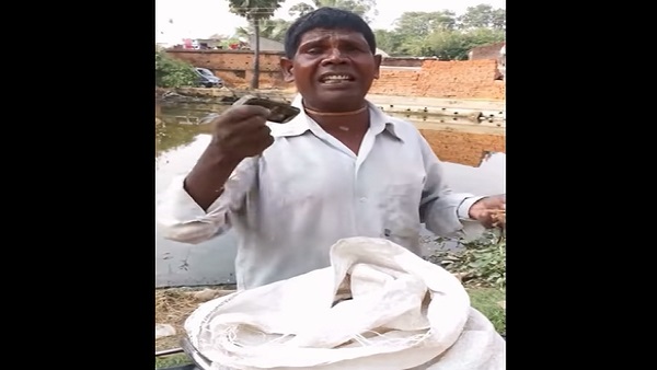 जानिए 'कच्चा बदाम' के बारे में?