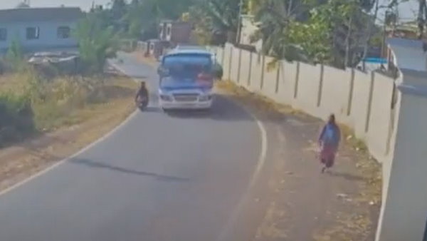 पेड़ और दुकान के बीच से निकला पेड़ और दुकान के बीच से निकला