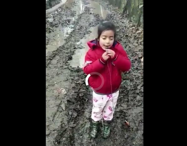 बोली- लाइक, शेयर और सब्सक्राइब करें