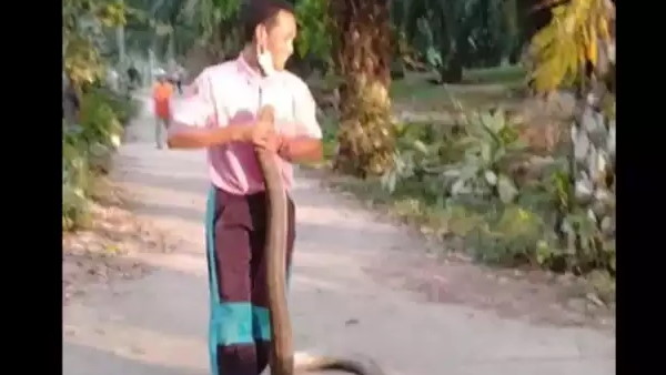 सांप पकड़ने में लगे सिर्फ 20 मिनट