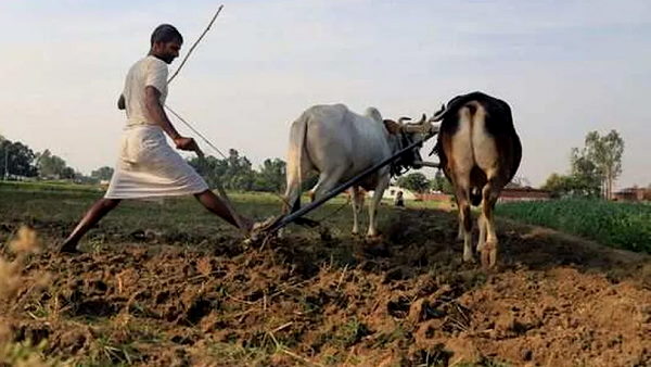  कर्ज माफी के संबंध में कोई निर्देश नहीं मिले