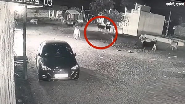 गुजरात सरकार का बड़ा फैसला