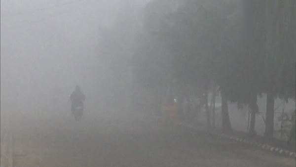 punjab weather today: fog engulfs Ludhiana city, reduced visibility