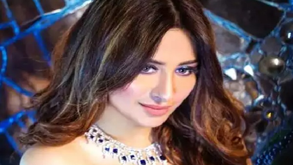 टीवी के चर्चित चेहरों में से एक हैं माहिरा टीवी के चर्चित चेहरों में से एक हैं माहिरा