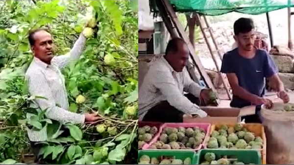 गुजरात के किसान का कमाल
