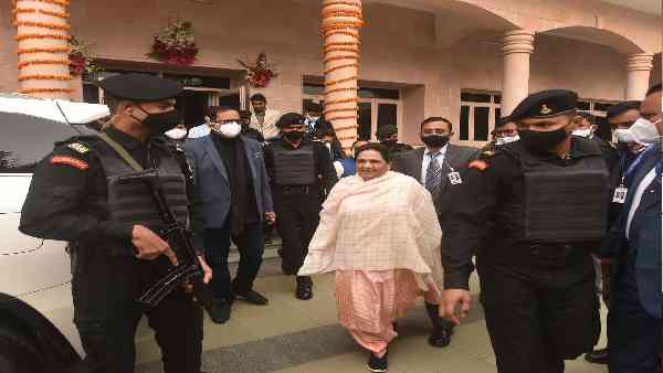 इन 8 सीटों पर गठबंधन और बसपा ने उतारे मुस्लिम उम्मीदवार