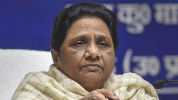 mayawati says Except BSP other parties pushed uttar pradesh in to jungle raj mayawati says Except BSP other parties pushed uttar pradesh in to jungle raj