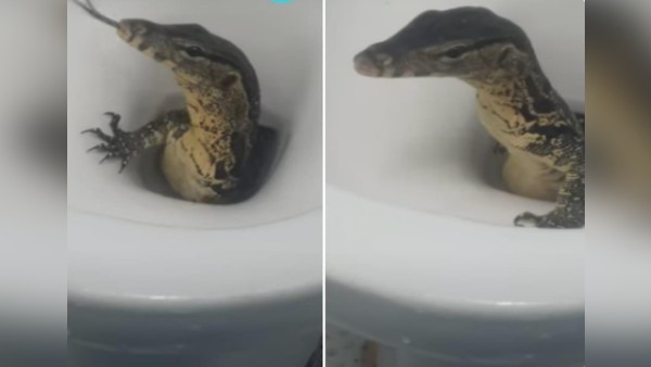 पथुम थानी के होटल की घटना