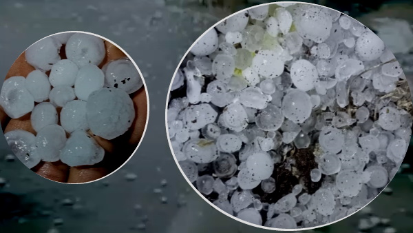 ओलावृष्टि का वायरल वीडियो झालावाड़ का ओलावृष्टि का वायरल वीडियो झालावाड़ का