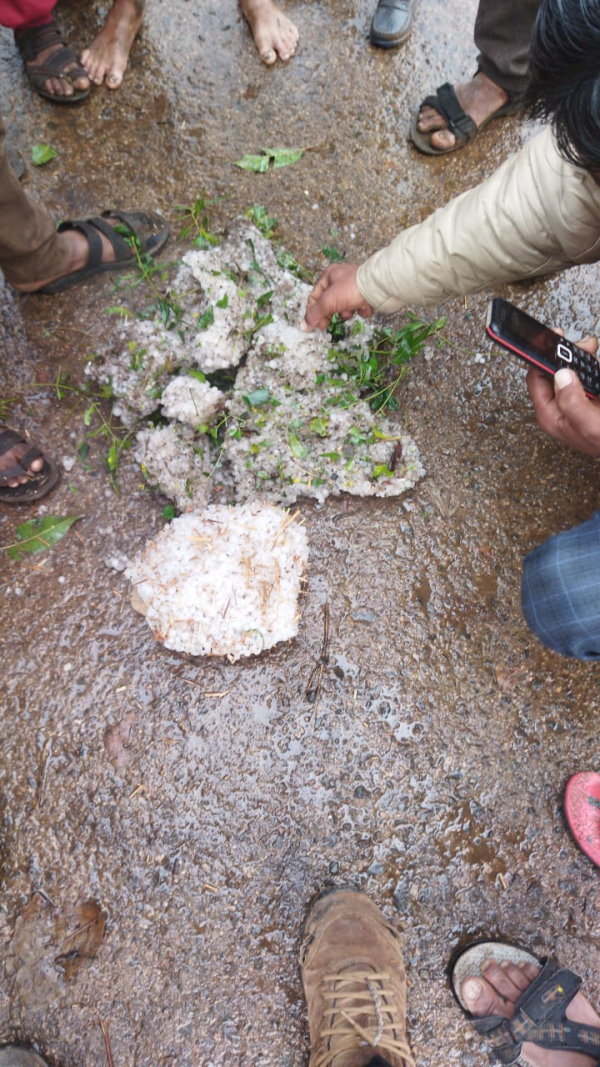 तेज अंधड़ और ओलों से फसलों को नुकसान
