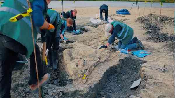 विशाल आंखों की वजह से रात में भी शिकार करने में थे सक्षम