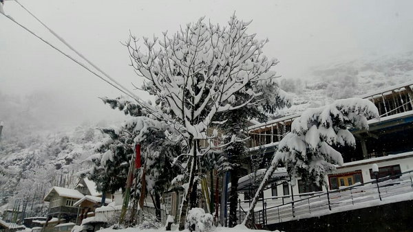 यहां भी हुई भारी बर्फबारी