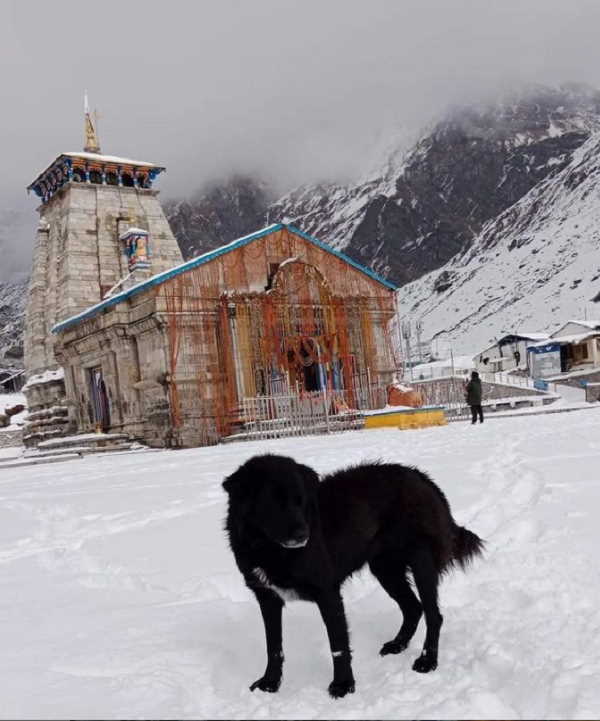 heavy snowfall in Uttarakhand: SDRF team rescued tourists, locals stranded in Dharchula