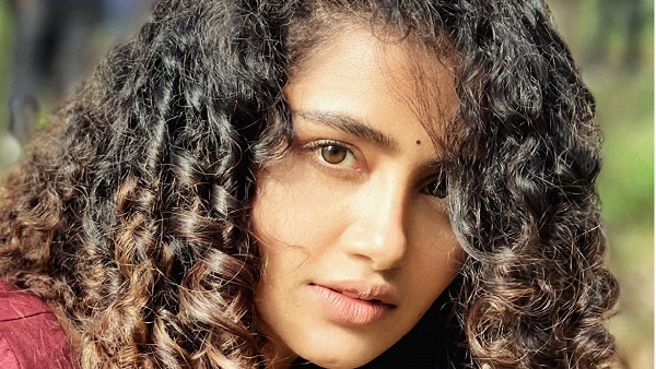 टॉलीवुड का चर्चित चेहरा हैं अनुपमा