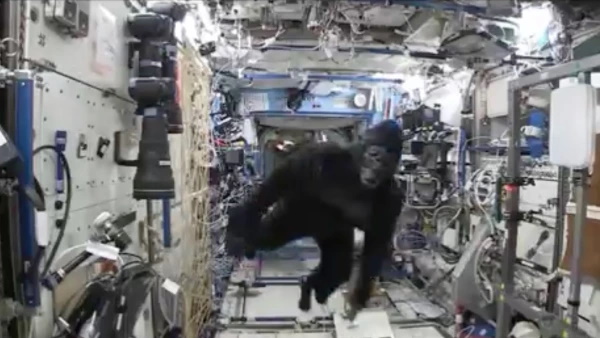 स्पेस स्टेशन के अंदर घुसा 'गोरिल्ला