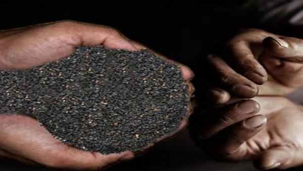 भीष्म पितामह ने अपना देह त्याग किया था