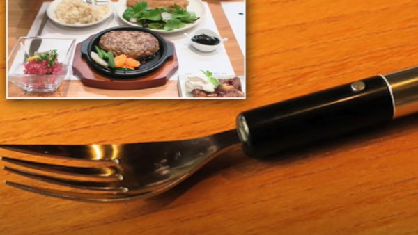 टीवी के अलावा बनाई ये चीज टीवी के अलावा बनाई ये चीज