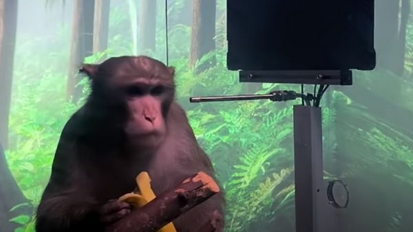 इंसानी दिमाग में चिप इंसानी दिमाग में चिप