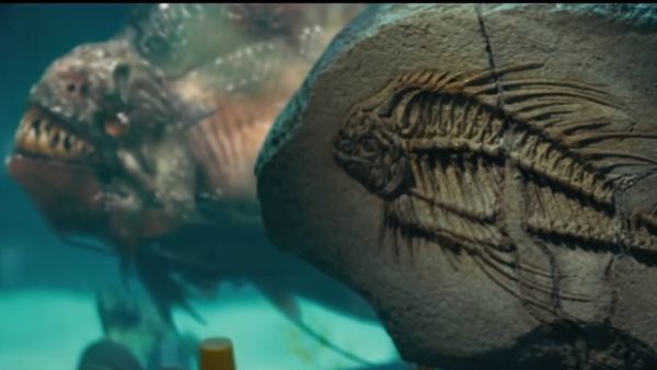 क्यों करती हैं हमला?