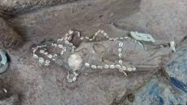 कई अवशेषों में भव्य सजावट कई अवशेषों में भव्य सजावट