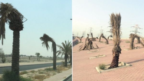 पूरी तरह निर्जन हो जाएगा कुवैत