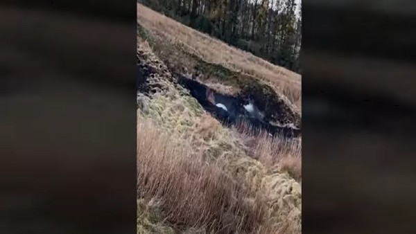 नहीं हुई तारबंदी