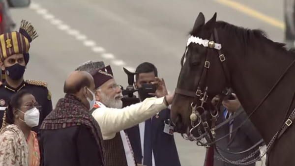 13 सालों तक परेड की शान रहा घोड़ा 'विराट' हुआ रिटायर