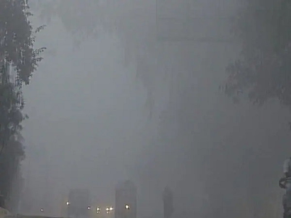 Cold wave in Punjab: Meteorological Department says that it may rains tomorrow, low pressure area is forming upper parts of the Himalayas