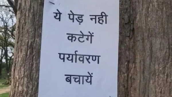 khunti villagers did protest against administration for cutting trees khunti villagers did protest against administration for cutting trees