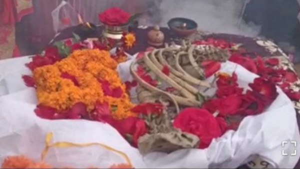 स्कूल में रखी गई थी अस्थियां स्कूल में रखी गई थी अस्थियां