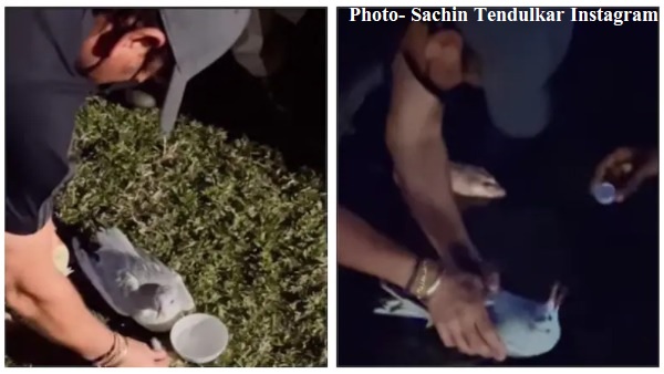 इंस्टाग्राम पर एक दिल छूने वाला वाला वीडियो इंस्टाग्राम पर एक दिल छूने वाला वाला वीडियो