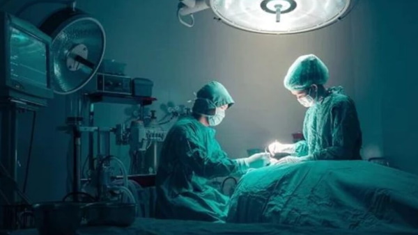 2 सेंटीमीटर लंबी 3 जिंदा बॉट फ्लाई आंख से निकलीं