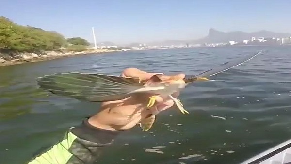 वीडियो हो रहा वायरल वीडियो हो रहा वायरल