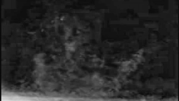 लाइव स्ट्रीमिंग के दौरान देखा