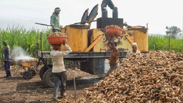  बैंक की तरफ से मिला नोटिस 