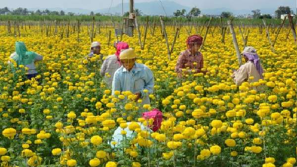 पीएम मोदी को लिखा था 'धन्यवाद' 