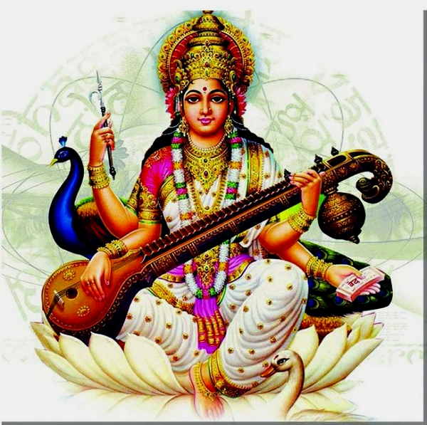 Basant Panchami and Saraswati Puja 