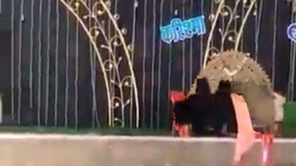 आईएफएस अधिकारी पवन कासवान ने शेयर किया वीडियो